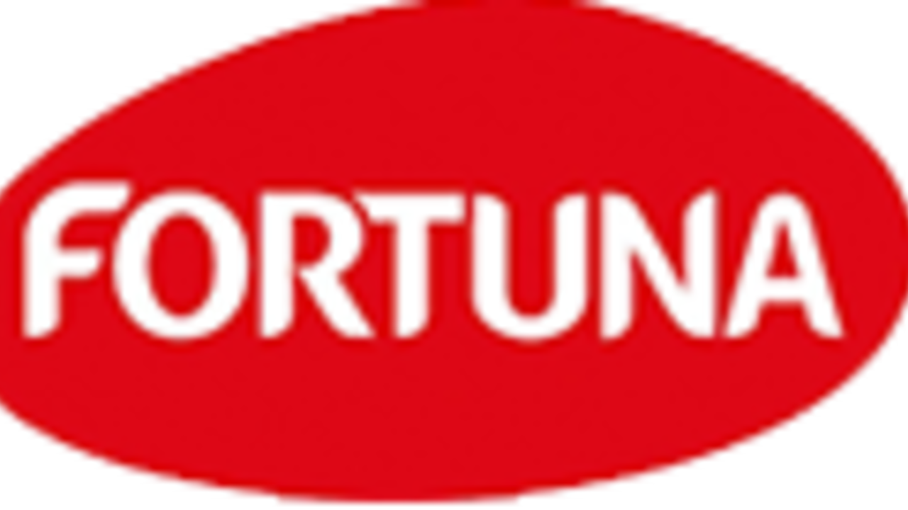 Try to fortuna. Фортуна. Fortuna logo. Fortuna надпись. Фортуна картинки.